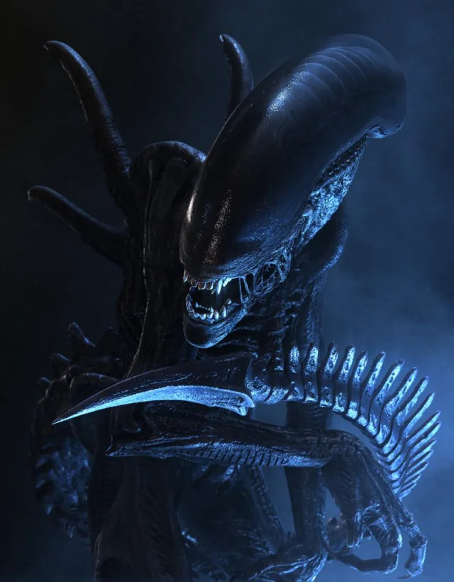 Xenomorph Warrior